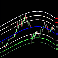 belkhayate-gravity-center-mt5-custom-logo-200x200-4280