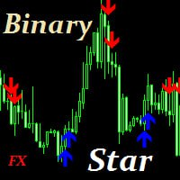 binary-star-logo-200x200-1131