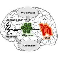 fibrillar-logo-200x200-2301