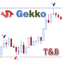 gekko-tops-n-bottoms-logo-200x200-2178