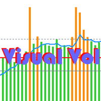 visualvol-logo-200x200-1740