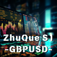 zhuque-s1-mt5-logo-200x200-5306